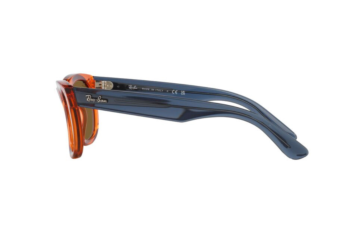 Ray-Ban Wayfarer Reverse